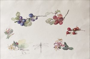 Herbstfrüchte und Blumen von Caroline Hervey Bathurst
