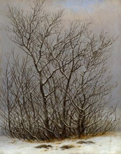 Gebüsch im Schnee von Caspar David Friedrich