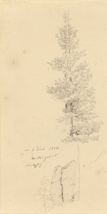 Studie mit Fichten und Felsen von Caspar David Friedrich