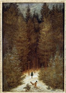 Jäger im Wald