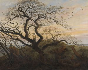 Der Baum der Krähen