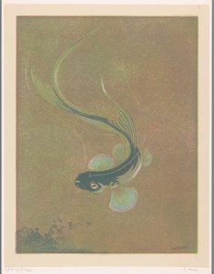 Schwimmender Fisch von Casper M.L. Kouw (signed by artist)