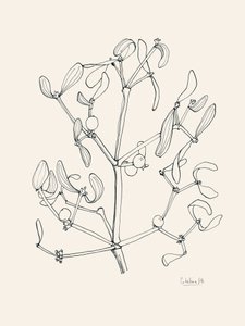 Weihnachtsmistel-Linienkunst