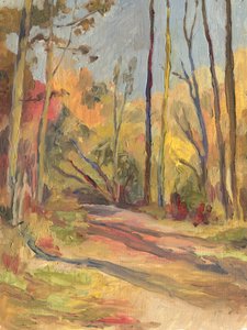 Friedlicher Herbstpfad