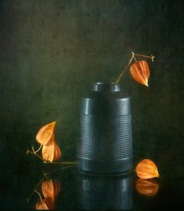 Herbstlaternen und Vase