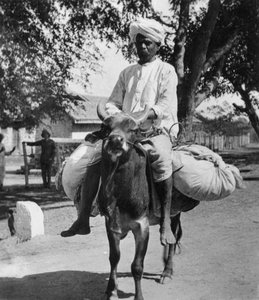 Der Wäscher, Indien, spätes 19. oder frühes 20. Jahrhundert