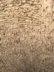Komposition - Architektur - Details, 2020