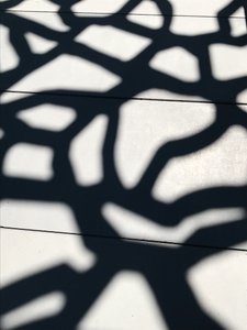 Komposition - Schatten von Cécile Jamet