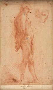 Studie eines stehenden männlichen Aktes, mit einer Studie eines Kopfes im Dreiviertelprofil, ca. 1640