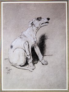 5:15 Aufgewacht durch einen schlimmen Ekzem-Anfall, Illustration aus A Dog Day von Walter Emanuel von Cecil Charles Windsor Aldin