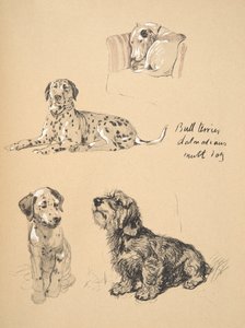 Bullterrier, Dalmatiner und Mischlingshund, 1930, Illustrationen aus seinem Skizzenbuch verwendet für Just Among Friends, Aldin, Cecil Charles Windsor (1870-1935), später veröffentlicht von Eyre und Spottiswoode Limited von Cecil Charles Windsor Aldin