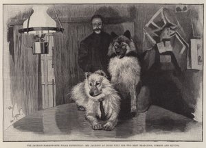 Die Jackson-Harmsworth-Polarexpedition, Herr Jackson zu Hause mit seinen zwei besten Bärenhunden, Nimrod und Raving von Cecil Charles Windsor Aldin