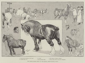 Die Shire Horse Show in der Royal Agricultural Hall