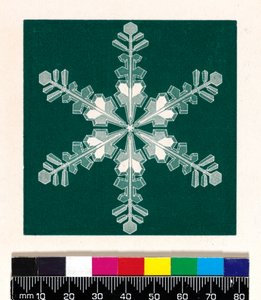 Schneekristalle von Cecilia Glaisher