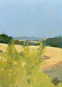 Montagne Noire, SW Frankreich von Celia Montague