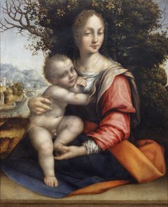 Madonna mit Kind (Unsere Liebe Frau vom Baum) von Cesare da Sesto