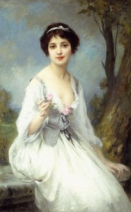 Die rosa Rose