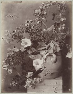 Blumenstudie mit Kölner Topf auf Kiste