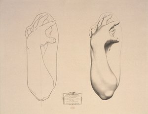 Gebogener Arm einer Frau, Tafel 22 aus Cours de Dessin Band I, Modeles dapres la bosse, c.1868 von Charles Bargue