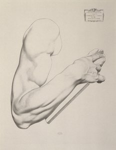 Eindruck auf grauem Papier, 1868