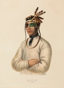 CAA-TOU-SEE. EIN OJIBWAY., aus Geschichte der Indianerstämme Nordamerikas von Charles Bird King