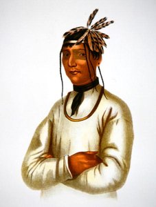 Caatousee vom Chippewa-Stamm (Farblithografie)