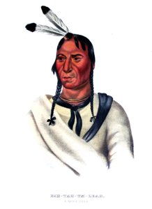 Eshtahumbah (Schläfrige Augen), ein Sioux-Häuptling