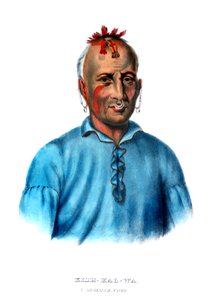 Kishkalwa, ein Shawnee-Häuptling von Charles Bird King