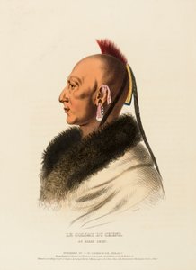 LE SOLDAT DU CHENE, EIN OSAGE-HÄUPTLING, aus der Geschichte der Indianerstämme Nordamerikas von Charles Bird King