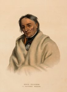 META-KOOSEGA. Ein Chippewa-Krieger, aus der Geschichte der Indianerstämme Nordamerikas
