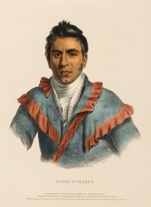 OCHE-FINCECO, aus Geschichte der Indianerstämme Nordamerikas von Charles Bird King