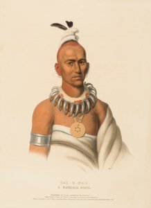 Tai-o-mah. Ein Musquakee-Krieger, aus Geschichte der Indianerstämme Nordamerikas