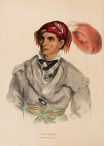 Tah-Chee (Dutch), ein Cherokee-Häuptling, aus der Geschichte der Indianerstämme Nordamerikas von Charles Bird King