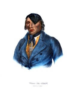 Waapashaw, ein Sioux-Häuptling