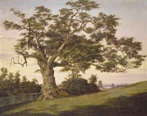 Die Charter Oak von Charles de Wolf Brownell