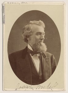 Porträt von Joseph Medill, ca. 1876