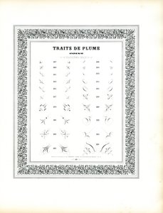 Kalligraphische Eckelemente - Traits de Plume Coins