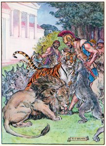 Zu ihrer Überraschung und Freude sprangen diese wilden Tiere nur um sie herum