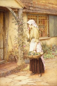 Die süßeste Rose