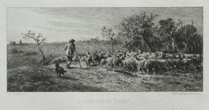 Ankunft auf dem Feld
