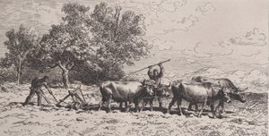 Ochsenkarren, 1868
