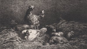 Hühner, 1867