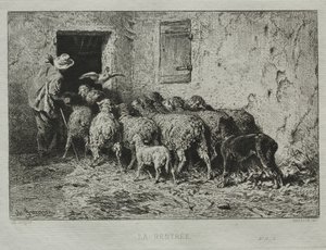 Die Rückkehr