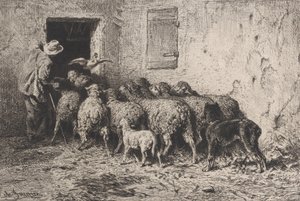 Die Rückkehr