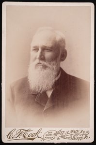 Porträt von Henry Blackman Plumb 1829-1921, vor 1894 von Charles F Cook