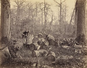 Wald von Fontainebleau von Charles Famin