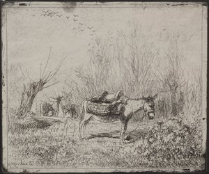 Ein Esel auf dem Feld, Originaldruck 1862, gedruckt 1921