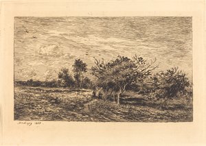 Apfelbäume in Auvers von Charles Francois Daubigny