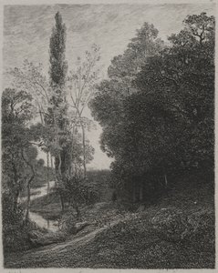 Ufer des Flusses Cousin, 1850 von Charles Francois Daubigny