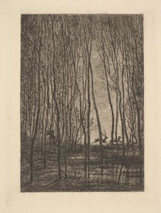 Hirsche im Wald, 1850 von Charles Francois Daubigny
